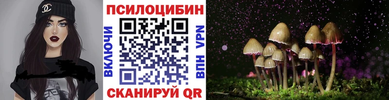 Псилоцибиновые грибы Psilocybe  Тотьма 