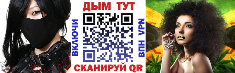 где продают наркотики Тотьма Каннабис планчик